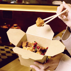 Fold Take-Out Containers