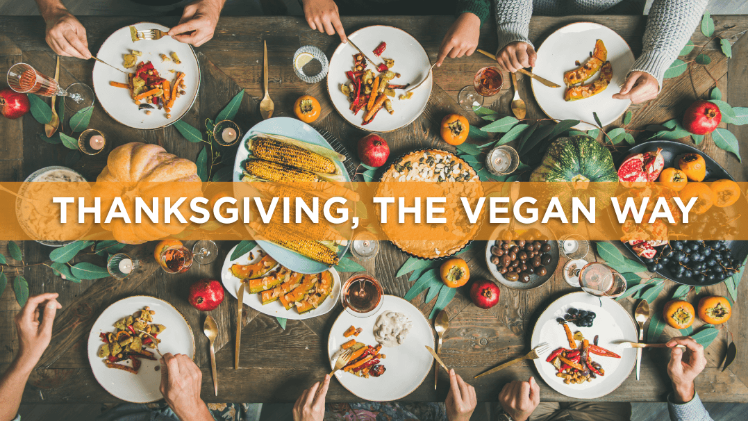 Thanksgiving, the Vegan Way