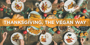 Thanksgiving, the Vegan Way