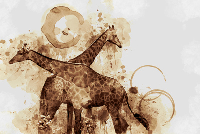 Tea Paint of Two giraffes on a canvas.